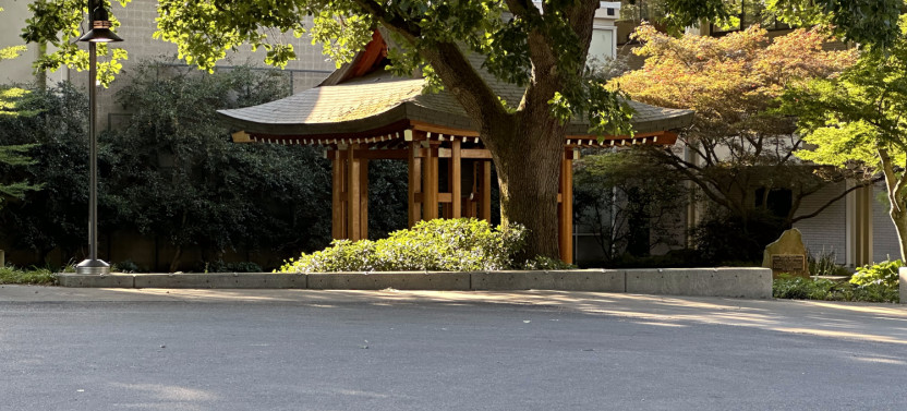 Seattle's Space Needle Area Self-Guided Walking Tour