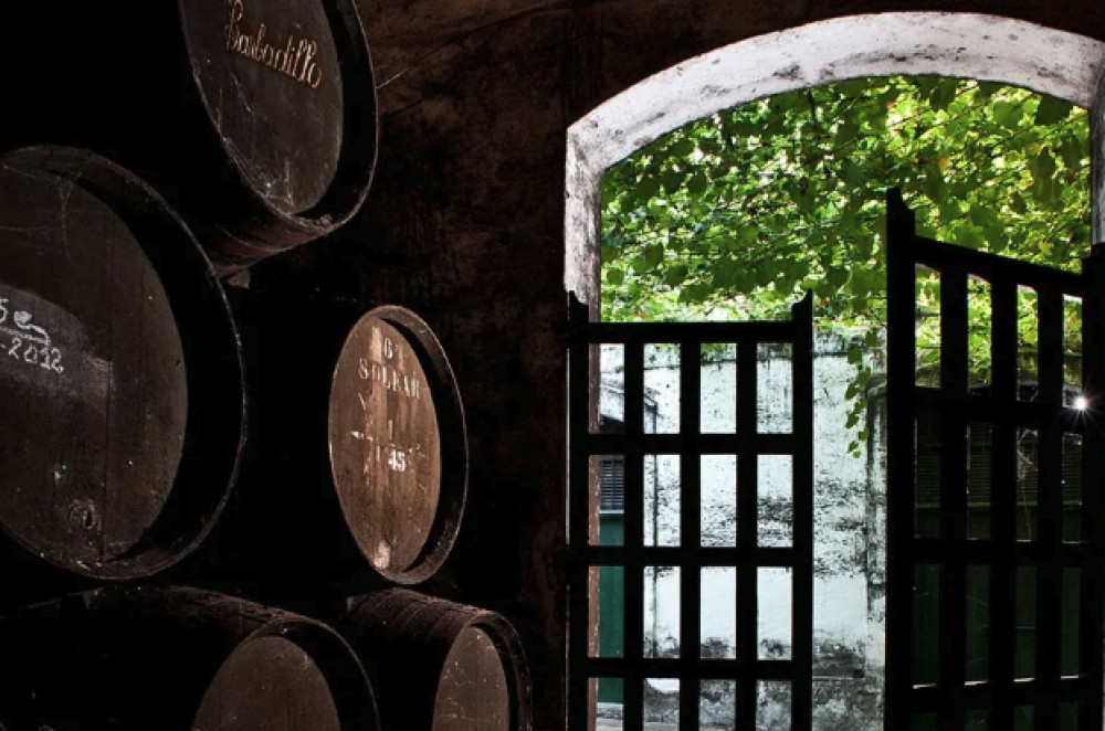 Barbadillo Winery: Guided Tour with Tasting of 3 Wines