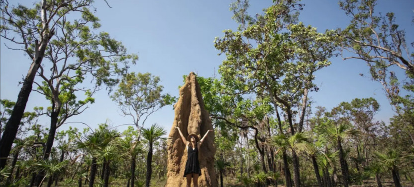 Litchfield National Park - with Wetlands Walk