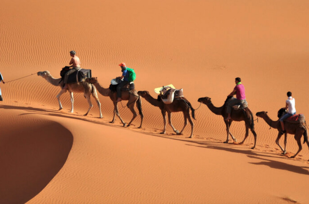 8 Day Morocco Uncovered Tour From Casablanca