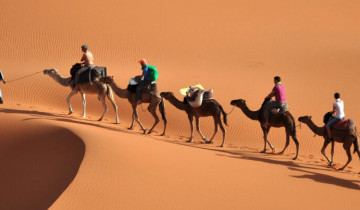 A picture of 8 Day Morocco Uncovered Tour From Casablanca