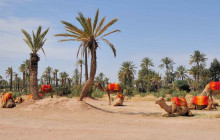 Discover Morocco5