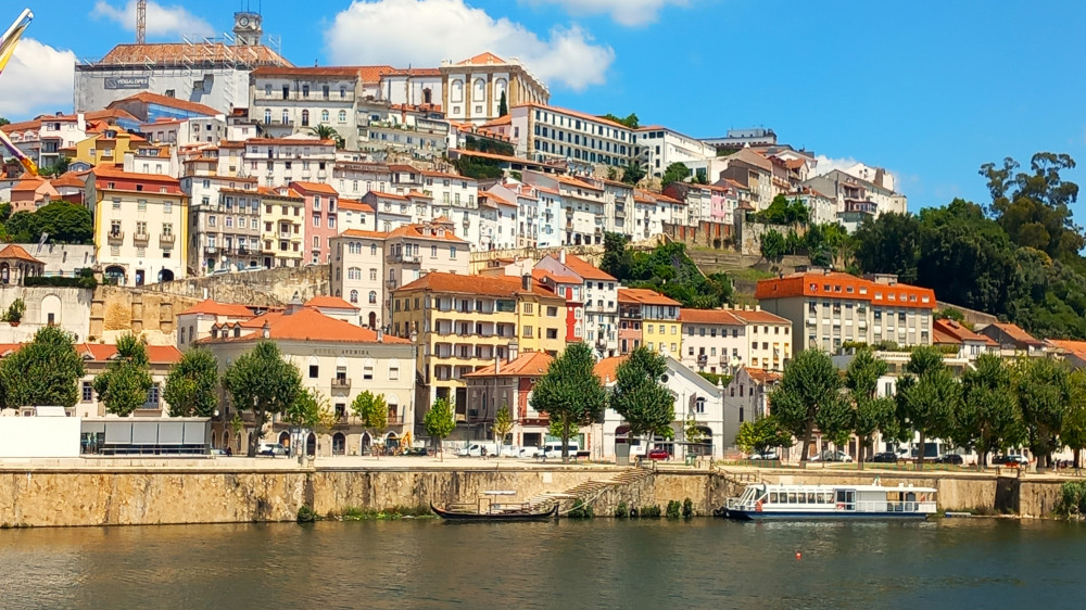 One Way Douro Valley to Lisbon through Coimbra and Óbidos