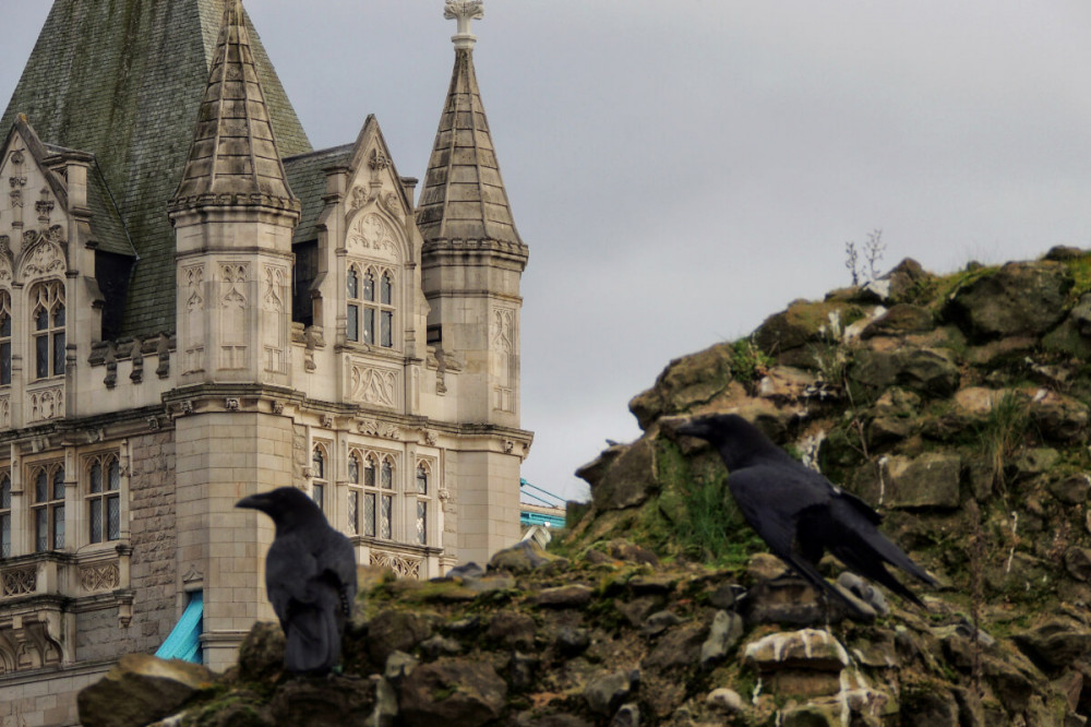 Tower of London and Borough Market Tour