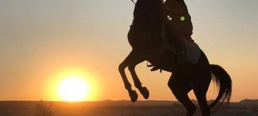 Private Hurghada Horse Ride: Sea and Desert Tour in Sunset