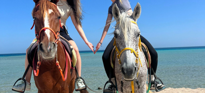 Private Hurghada Horse Ride: Sea and Desert Tour in Sunset