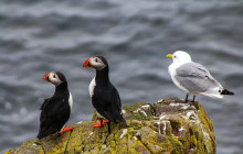 Howth Adventures6