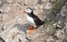 Howth Adventures8