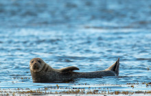 Howth Adventures9