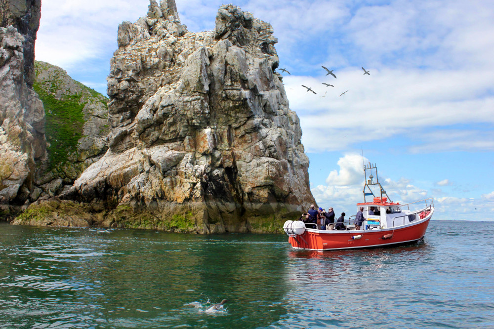 Ireland's Eye - Howth Coastal Boat Tour