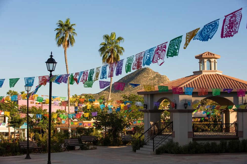 Small Group Cabo San Lucas Arch & City Tour