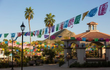 Cabo Adventures1