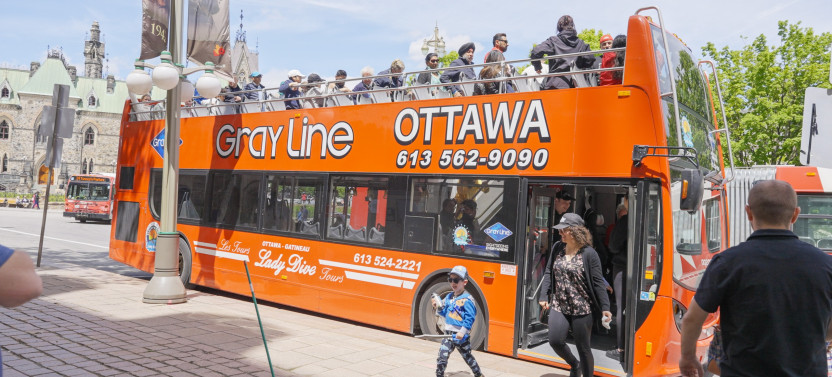 Hop On Hop Off Bus- One Day Pass