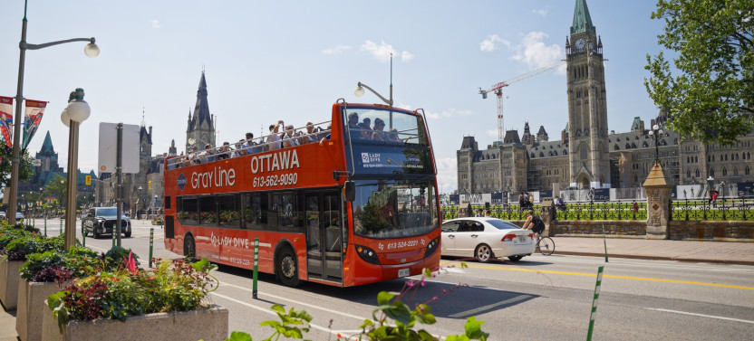 Hop On Hop Off Bus- Two Day Pass
