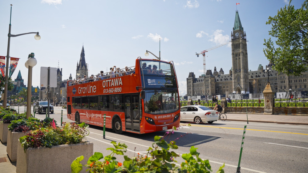 Hop On Hop Off Bus- Two Day Pass