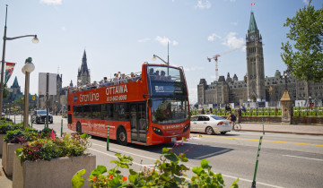 A picture of Hop On Hop Off Bus- Two Day Pass