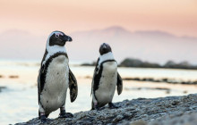 shine the way tours10