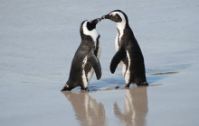 shine the way tours11