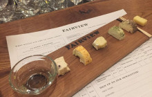 shine the way tours26