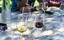 shine the way tours28