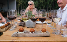 shine the way tours29