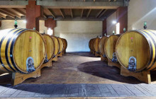 DISCOVER MESSINA SICILY4