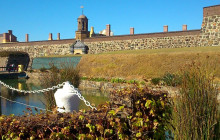 shine the way tours36