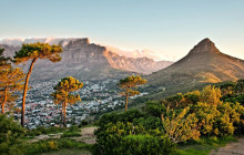 shine the way tours37