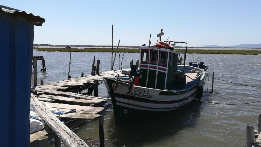 Private Tour to Alentejo Coast, Comporta Beach, Alcacer do Sal, and Setubal