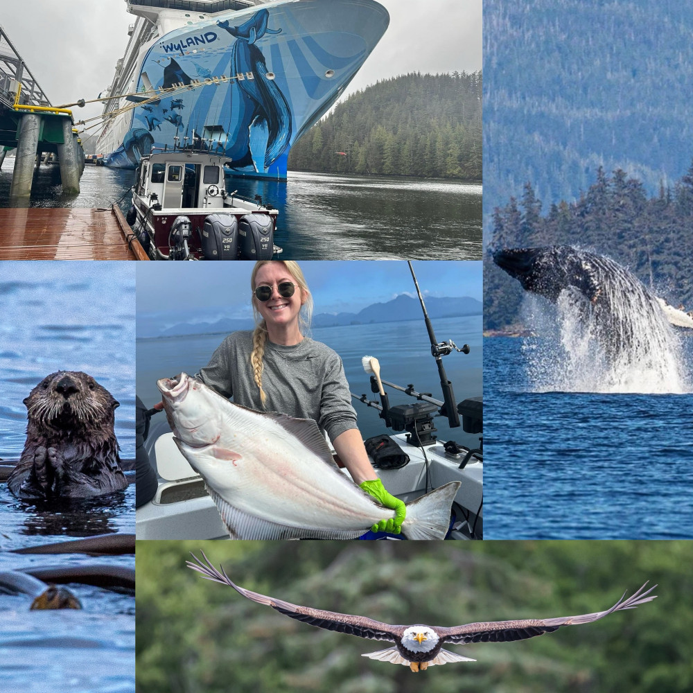 Ketchikan Bottom Fishing & Wildlife Tour