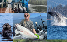 Reel Alaska Fishing Charters1