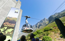 shine the way tours9