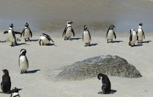 shine the way tours13