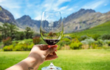 shine the way tours18