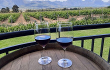 shine the way tours22