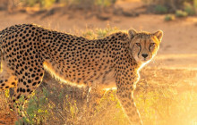 shine the way tours14