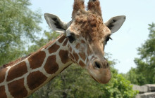 shine the way tours3