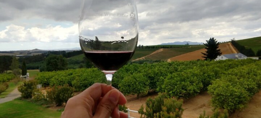 Cape Winelands Private Tour To Stellenbosch And Franschhoek