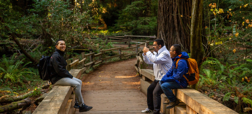 Half Day Famous San Francisco Tour with Muir Woods