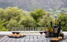 shine the way tours15