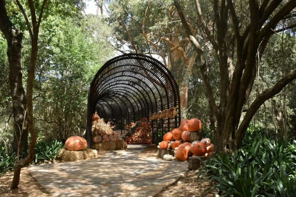 Full Day Stellenbosch Winelands Private Tour From Cape Town