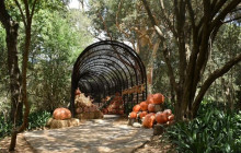 shine the way tours1