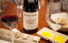 shine the way tours2