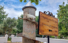 shine the way tours3