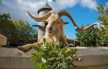 shine the way tours4