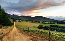 shine the way tours6