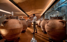 shine the way tours10