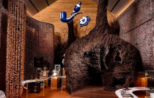 shine the way tours11