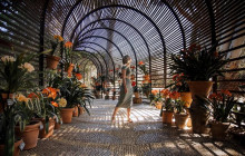 shine the way tours13