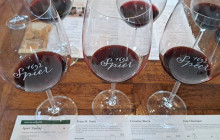 shine the way tours16